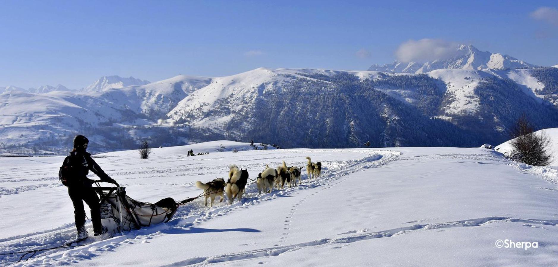 Les Gourgs Blancs - 80M Des Pistes - 6 Personnes Leilighet Génos Eksteriør bilde